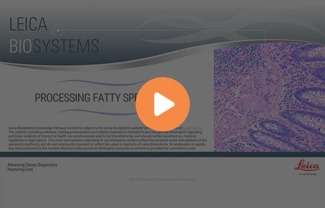 processing-fatty-specimens-640x410