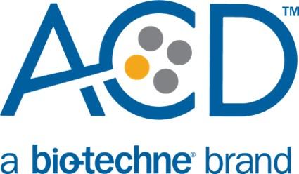 Advanced-Cell-Diagnostics-(ACD)