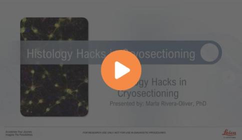 histology-hacks-for-cryosectioning-640x410