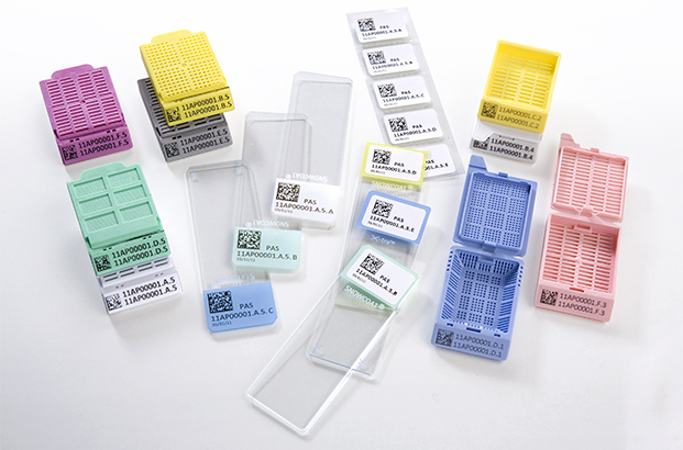 Snowcoat Microscope Slides
