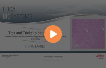 tips-and-tricks-to-better-histology-influencing-tissue-processing-and-preparation-640x410