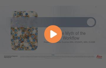busting-the-myth-of-the-ideal-workflow-640x410