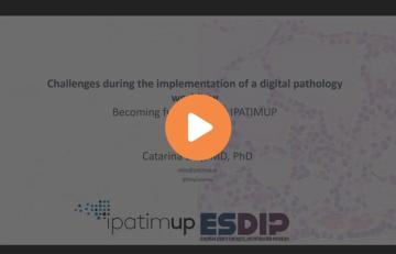 challenges-during-the-implementation-of-a-digital-pathology-workflow-becoming-640x410