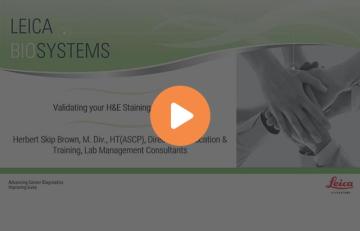 validating-your-he-staining-systems-640x410