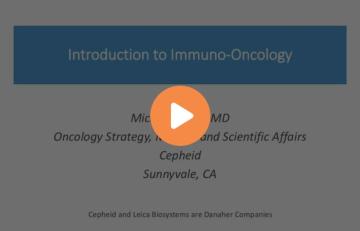 introduction-to-immuno-oncology-640x410