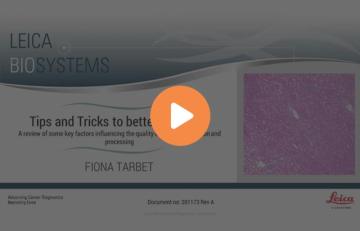 tips-tricks-to-better-histology-part-1-a-review-of-key-factors-640x410