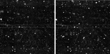 Study-on-the-performance-of-different-cover-glasses-in-microscopy-measurement-of-surface-scratches-and-contamination-image-26