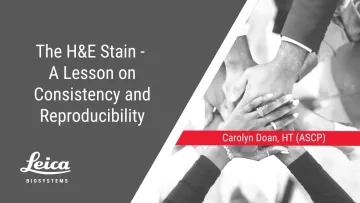 H and E Stain - A lesson on Consistency and Reproducibility by Carolyn Doan