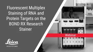 Fluorescent Multiplex Staining of RNA and Protein Targets on the BOND RX Webinar Thumbnail