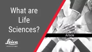 What Are Life Sciences Article Thumbnail