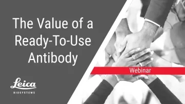 The Value of a Ready to Use Antibody Webinar Thumbnail