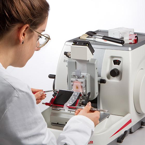 Leica RM CoolClamp - Improved workflow and uniform paraffin sections