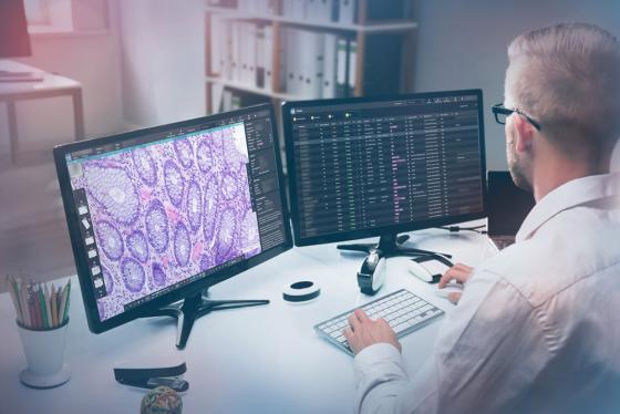 HALO-AP-Dx-Dual-Monitors-with-Filtersv2-1