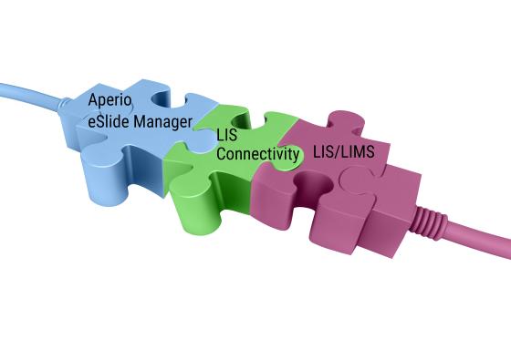 Aperio LIS Connectivity Solution – Integrated data and whole slide images at your fingertips