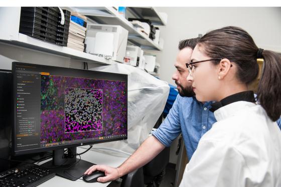 HALO® | Quantitative Image Analysis for Pathology