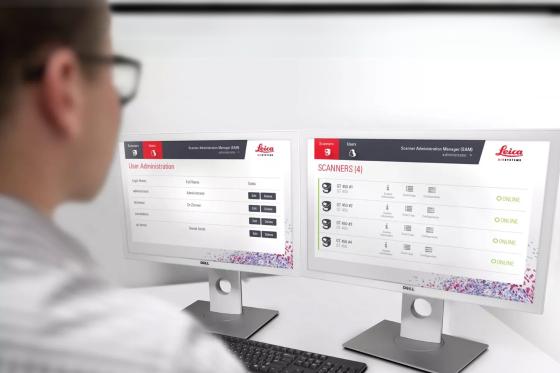 IT Professional Login Screen