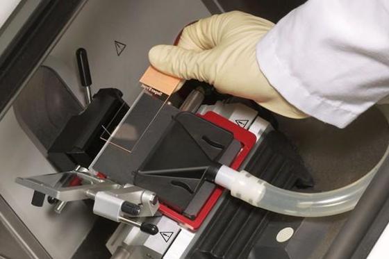 Leica CM1950 - The cryostat for laboratories with numerous specimens and varying specimen types