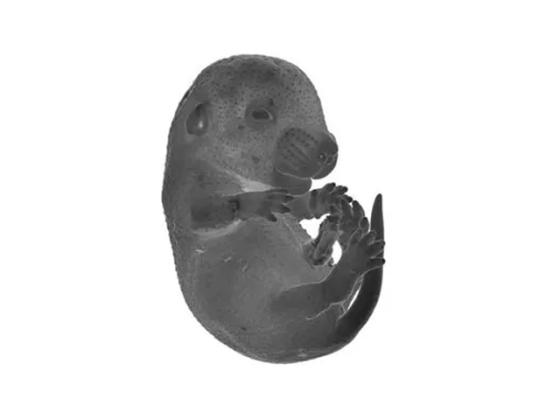 NANOCUT_Video_02-old_01-thumb