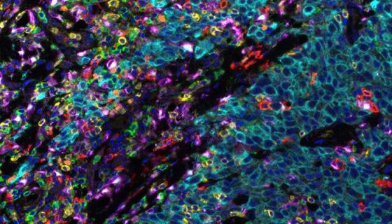 Réalisez des études de multiplexage rapides et de entièrement automatisées.