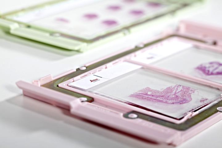Leica Microsystems Introduces Extra Large Slide Scanning for Digital Pathology at Neuroscience