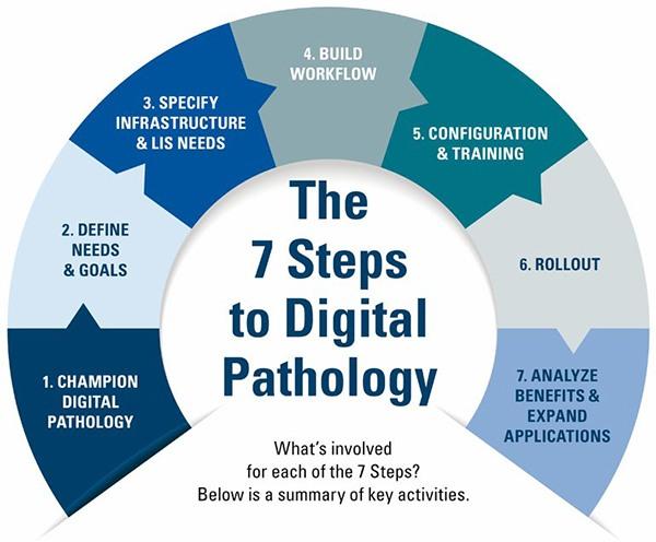 The 7 Steps to Digital Pathology The 7 Steps to Digital Pathology
