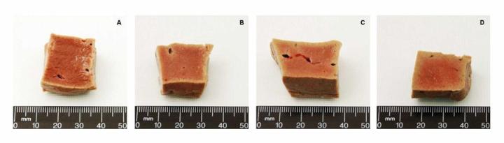 Figure 1: A composite photograph showing the rate at which 10% neutral buffered formalin penetrates into 25 mm cubes of liver. At the end of each time period a cube has been sliced to reveal the advancing fixation front. A: one hour (approximately 0.8 mm penetration), B: two hours (approximately 1.2 mm penetration), C: four hours (approximately 1.6 mm penetration) and D: eight hours (approximately 2.2 mm penetration). Note that after eight hours the centre of the specimen remains unfixed. Figure 1: A composite photograph showing the rate at which 10% neutral buffered formalin penetrates into 25 mm cubes of liver. At the end of each time period a cube has been sliced to reveal the advancing fixation front. A: one hour (approximately 0.8 mm penetration), B: two hours (approximately 1.2 mm penetration), C: four hours (approximately 1.6 mm penetration) and D: eight hours (approximately 2.2 mm penetration). Note that after eight hours the centre of the specimen remains unfixed.