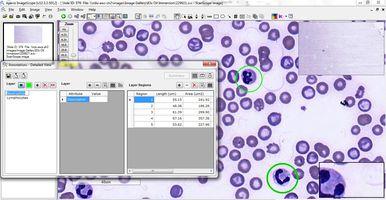 Digital-Pathology-Figure-7