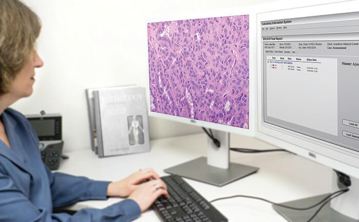 Pathologist Viewing Station