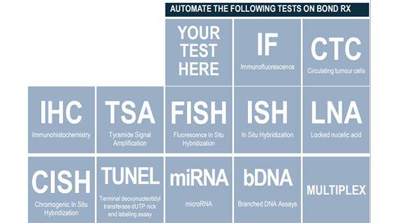 Flexible Protocols Help Turn Theories Into Action