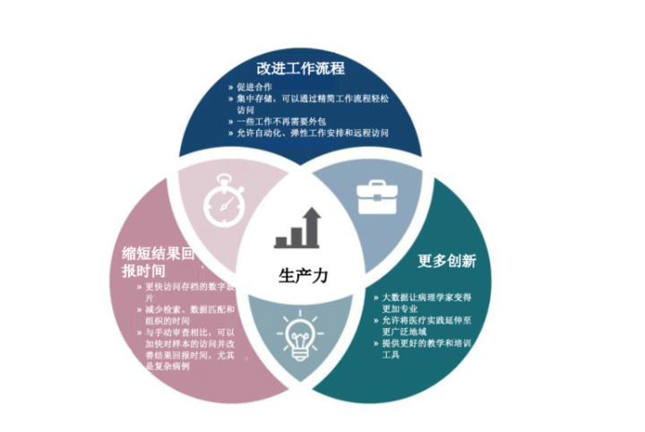 Digital Pathology