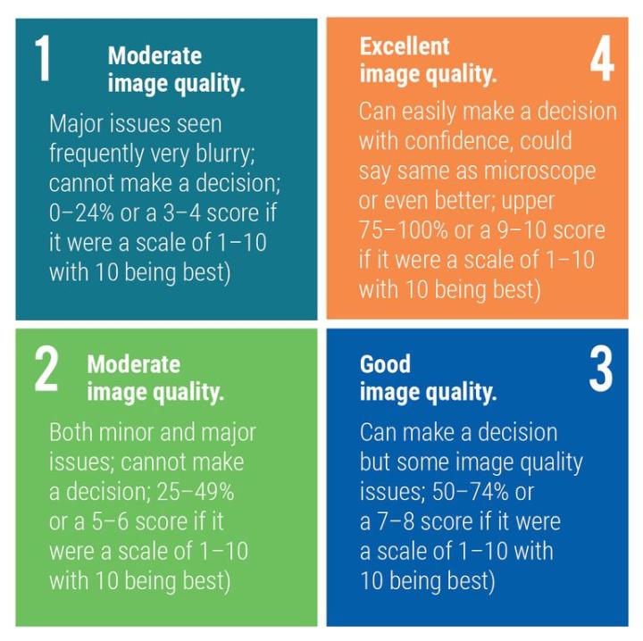 Figure 1 (above): Quadrant-based scoring system that is used by Pathologists to score image quality during image quality testing at Leica Biosystems. Figure 1 (above): Quadrant-based scoring system that is used by Pathologists to score image quality during image quality testing at Leica Biosystems.