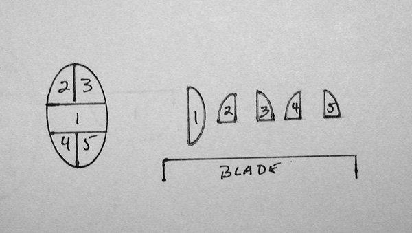 Figure 9. Orienting skin to the blade. The diagram shows an approach to embedding a small skin ellipse, so that the epidermis is perpendicular to the blade, and so the longitudinal margins (2-5) will hit the blade last.