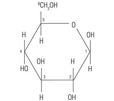 Figure1: Structure of a β-D-glucose