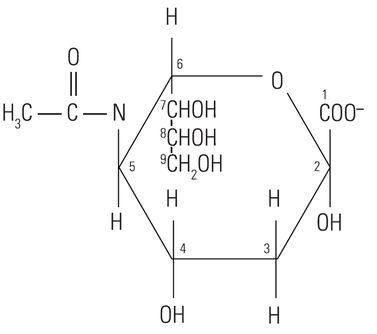 Hình 2: Cấu trúc của axit N-acetylneuraminic, một loại axit sialic phổ biến ở người.