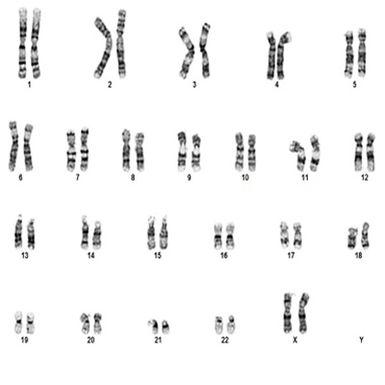 Specimen Processing