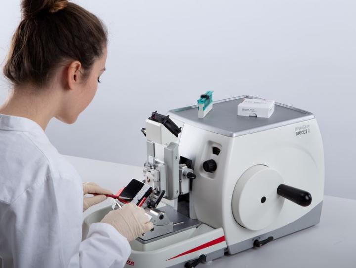 HistoCore_BIOCUT_R_Person_Coolclamp_Sections HistoCore_BIOCUT_R_Person_Coolclamp_Sections