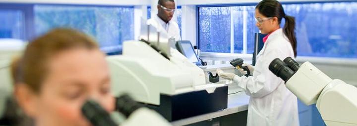 Histology Equipment Histology Equipment
