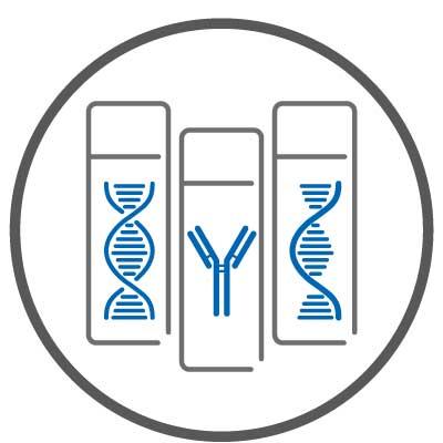 Novocastra HD Antibodies