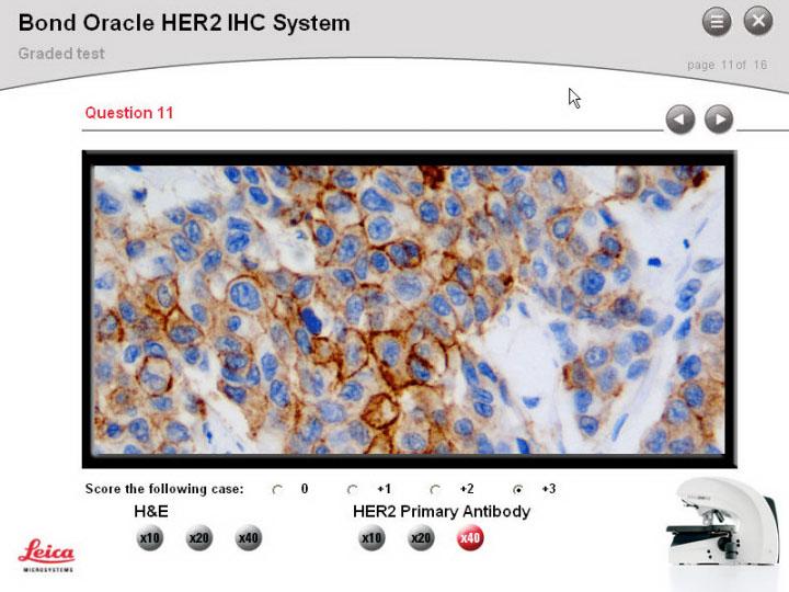 E_learning_image