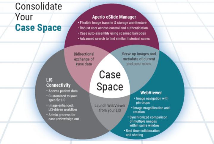 Consolidate your case space