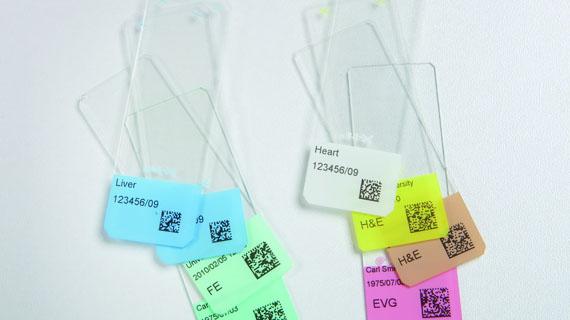 Mit Barcode bedruckter Objektträger