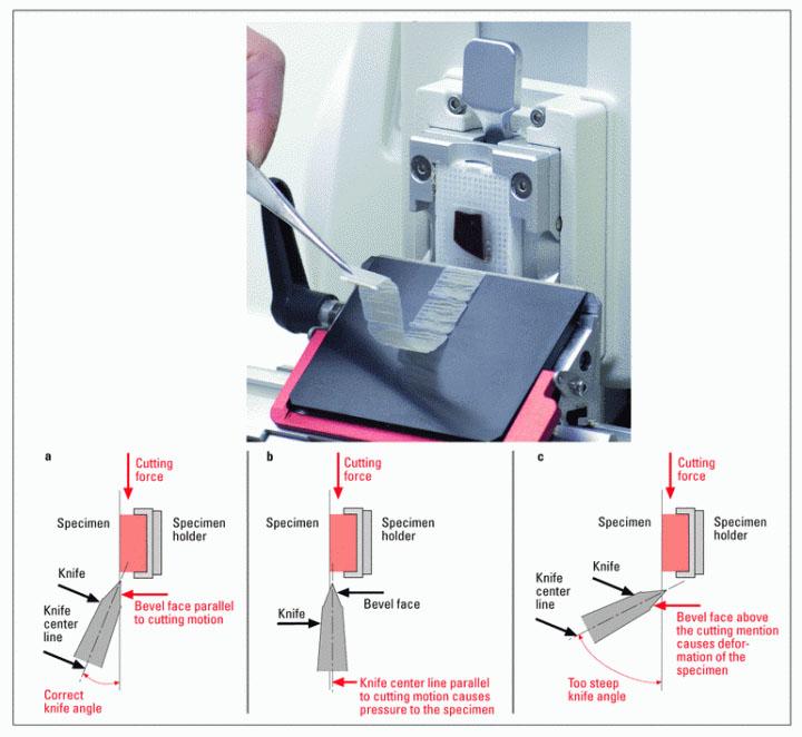 Fig. 1a-c: a: the correct knife angle, b: too shallow, c: too steep