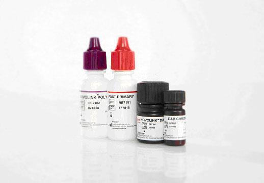 novocastra_hq-ihc_02