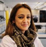 Dr. Catarina Eloy Dr. Catarina Eloy