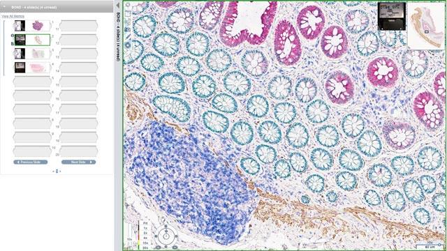 Modern-Multiplex-Solutions-for-the-Research-Lab-thumbnail