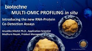 introducing-new-rna-protein-co-detection-assays