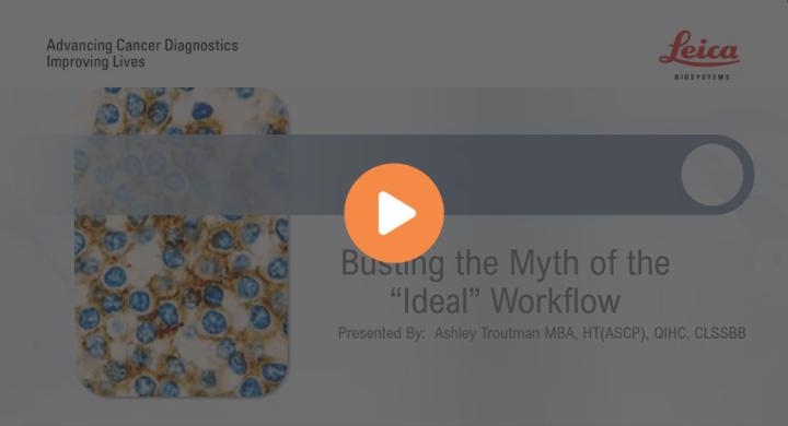 busting-the-myth-of-the-ideal-workflow