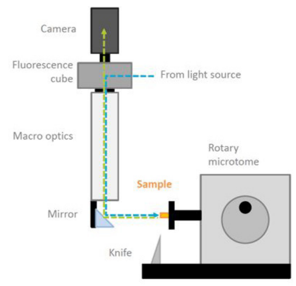 HREM-Elements