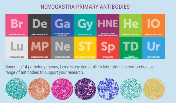 IHC-Primary-Antibodies-hub-page