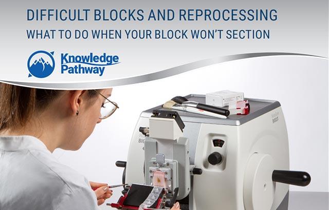 troubleshooting-reprocessing-difficult-paraffin-blocks-640x410